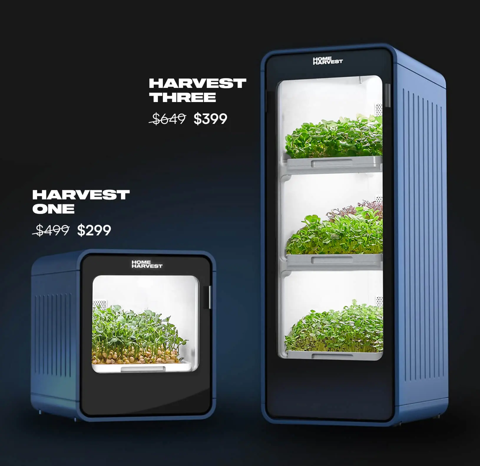 Home Harvest One and Three in blue and orange