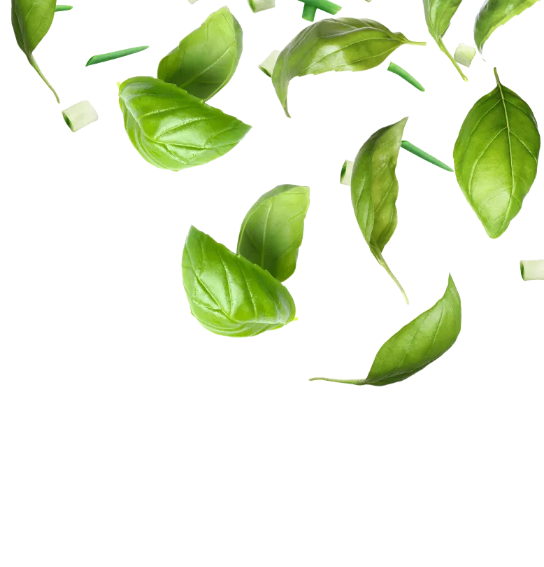 Sunnymood microgreens